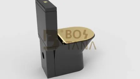 Sanitarios de baño de diseño moderno con acabado en negro mate